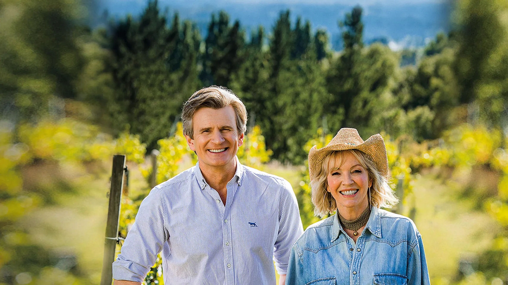 בין הכרמים 2.png